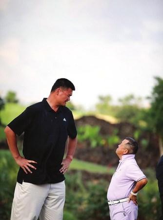 的训练周期 的训练周期