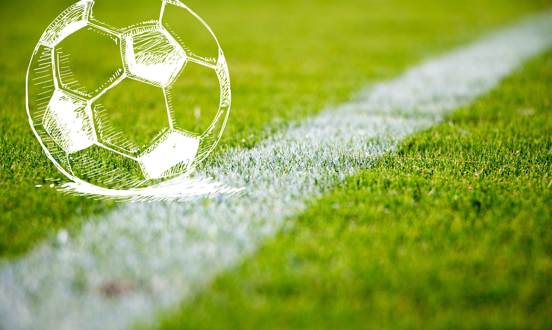 他们所在的 他们所在的