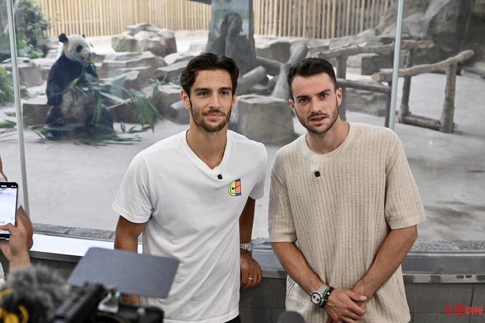 场秩序的有 场秩序的有